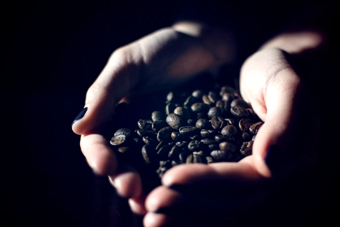 stack of coffee beans on person's hand